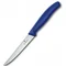 Набір кухонний Victorinox SwissClassic Steak Gift Set (6.7232.6)