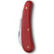 Ніж садовий Victorinox Pruning S 110мм,1функ,крас.мат 1.9201