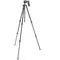 Штатив Vanguard Vesta 203AGH (Vesta 203AGH) Штатив Vanguard Vesta 203AGH (Vesta 203AGH)