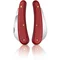 Ніж садовий Victorinox Pruning M 110мм,1функ,крас.мат 1.9301