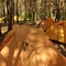 Намет надлегкий двомісний з футпринтом Naturehike Star-River 2 Updated NH17T012-T, 210T, помаранчевий