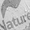 Намет надлегкий двомісний з футпринтом Naturehike Star-River 2 Updated NH17T012-T, 210T, помаранчевий