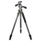 Штатив Vanguard Alta Pro 2+ 263AP (Alta Pro 2+ 263AP) Штатив Vanguard Alta Pro 2+ 263AP (Alta Pro 2+ 263AP)