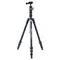 Штатив Vanguard Vesta TB 204AB (Vesta TB 204AB) Штатив Vanguard Vesta TB 204AB (Vesta TB 204AB)