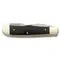 Ніж Boker Magnum Bon Appetite (01LL209) Ніж Boker Magnum Bon Appetite (01LL209)