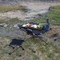 Cтіл розкладний Naturehike NH20JJ020,1680D Oxford / алюміній, Розмір L, бежевий