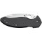 Ніж Spyderco Canis, black (C248CFP)