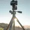 Штатив Vanguard Alta Pro 2+ 263AP (Alta Pro 2+ 263AP) Штатив Vanguard Alta Pro 2+ 263AP (Alta Pro 2+ 263AP)
