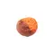 Бойли Brain Pop-Up F1 Freak Fruit (апельсин/кальмар) 08mm 20g