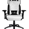 Крісло для геймерів 1stPlayer DK2 Black-White