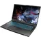 Ноутбук Dream Machines RG3060-17 (RG3060-17UA38) Black