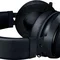 Гарнітура Razer Kraken Black (RZ04-02830100-R3U1)