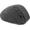 Миша бездротова 2E MF2010 WL Black (2E-MF2010WB)