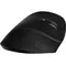 Миша бездротова Canyon CNS-CMSW16B Black