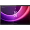 Планшет Lenovo Tab P11 (2nd Gen) TB350FU 6/128GB Storm Grey (ZABF0028UA)