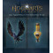 Гра Hogwarts Legacy для Sony PlayStation 4, Blu-ray (5051895413418)