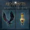 Гра Hogwarts Legacy для Sony PlayStation 4, Blu-ray (5051895413418)
