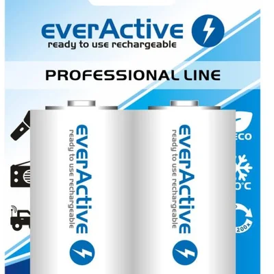 Акумулятор everActive D/HR20 10000mAh BL 2шт