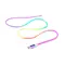 Кабель REAL-EL USB Type-C - Lightning (M/M), 1 м, Rainbow (EL123500054)