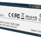 Накопичувач SSD 512GB Patriot P300 M.2 2280 PCIe 3.0 x4 NVMe TLC (P300P512GM28)