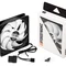 Вентилятор Frime (FWF120HB20PWM) 120x120x25мм, PWM Black/White