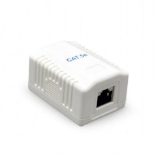 Розетка Cablexpert (NCAC-1U5E-01) RJ-45, Cat5е, зовнішня, біла