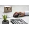 Миша 2E MF140 USB Black (2E-MF140UB)