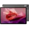 Планшет Lenovo Tab P12 TB370FU 8/128GB Storm Grey + Pen (ZACH0101UA)
