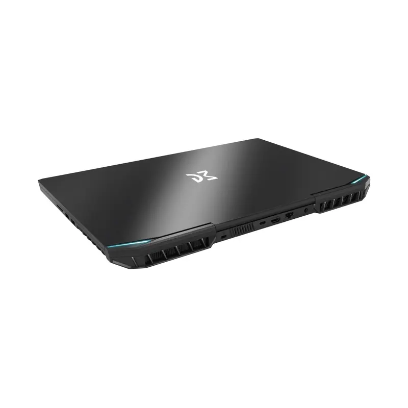 Ноутбук Dream Machines RT4050-17 (RT4050-17UA25) Black Ноутбук Dream Machines RT4050-17 (RT4050-17UA25) Black