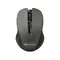 Миша бездротова Canyon CNE-CMSW1G Grey