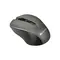 Миша бездротова Canyon CNE-CMSW1G Grey
