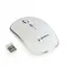 Миша бездротова Gembird MUSW-4B-01-W White USB