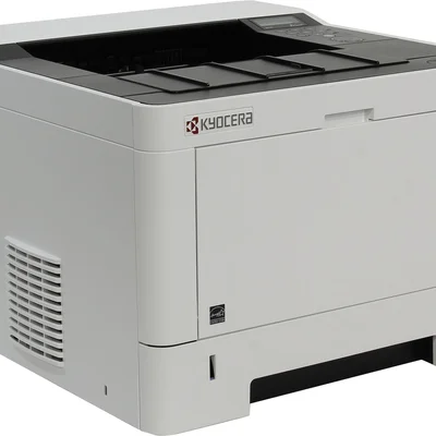 Принтер A4 Kyocera EcoSys P2040dw з Wi-Fi (1102RY3NL0)