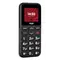 Мобiльний телефон Ergo R181 Dual Sim Black