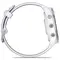 Смарт-годинник Garmin Forerunner 965 Titanium Bezel with Whitestone Case and Whitestone/Powder Gray Silicone Band (010-02809-81)