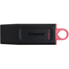 Флеш-накопичувач USB3.2 256GB Kingston DataTraveler Exodia Black/Pink (DTX/256GB)