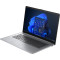 Ноутбук HP ProBook 470 G10 (8D4D4ES) Silver