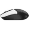 Миша бездротова A4Tech FG12S Black/White