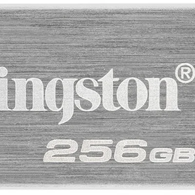 Флеш-накопичувач USB3.2 256GB Kingston DataTraveler Kyson Silver/Black (DTKN/256GB)