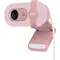 Веб-камера Logitech Brio 100 Rose (960-001623)