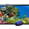 Захисне скло BeCover для Lenovo Tab P12/P12 Pro TB-Q706F (707315)