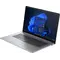 Ноутбук HP ProBook 470 G10 (8D4M1ES) Silver