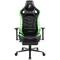 Крісло для геймерів 1stPlayer DK1 Pro FR Black-Green