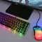 Клавіатура 2E Gaming KG345 RGB 68key USB Transparent