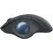 Миша Bluetooth Logitech Ergo M575 Graphite (910-005872)