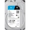 Накопичувач HDD SATA 1.0TB Seagate SkyHawk 5400rpm 256MB (ST1000VX013)