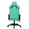 Крісло для геймерів 1stPlayer WIN101 Black-Green