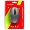 Миша Bluetooth+Wireless Canyon CNS-CMSW09DG Dark Grey USB