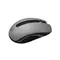 Миша бездротова 2E MF217 WL Gray (2E-MF217WC)