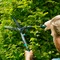 Ножиці для живоплоту Gardena EasyCut (12301-20.000.00)